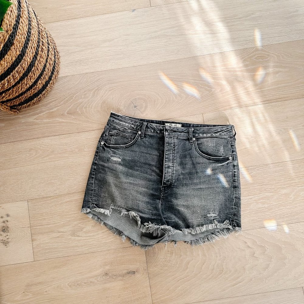 Free People We The Free CRVY Vintage High-Rise Shorts Denim Shorts Size 34